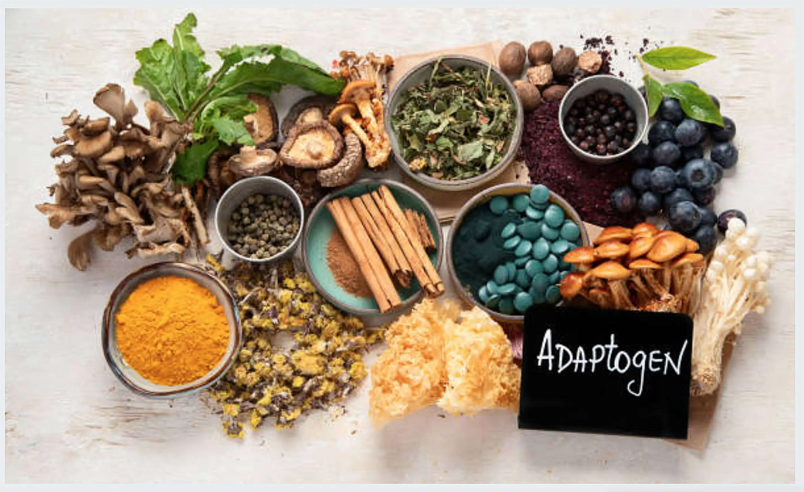 Health Food Ingredient Glossary