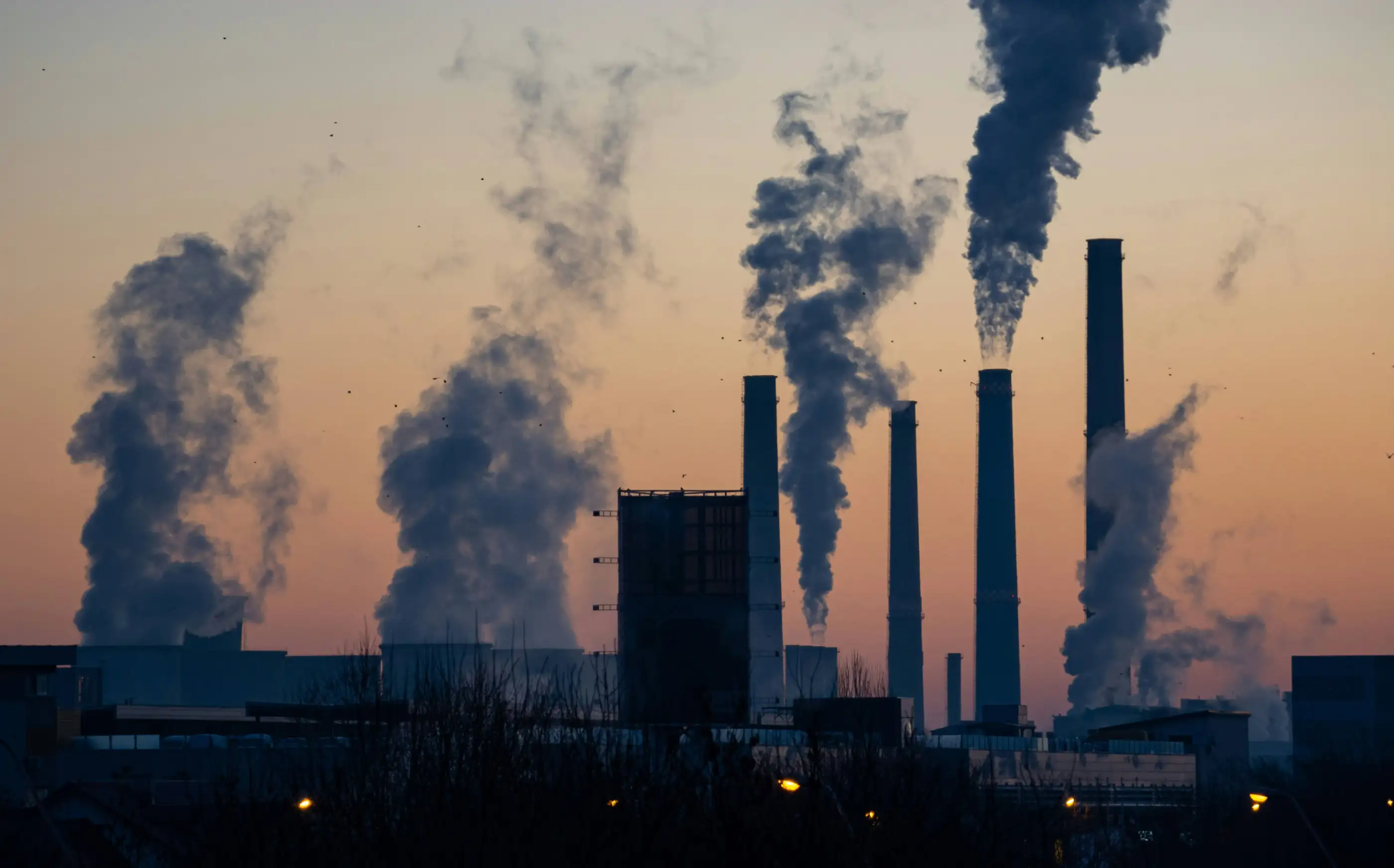 Environmental Factors: The Invisible Influencers of Metabolic Health